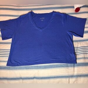 Comfy Blue V-Neck Short Sleeve